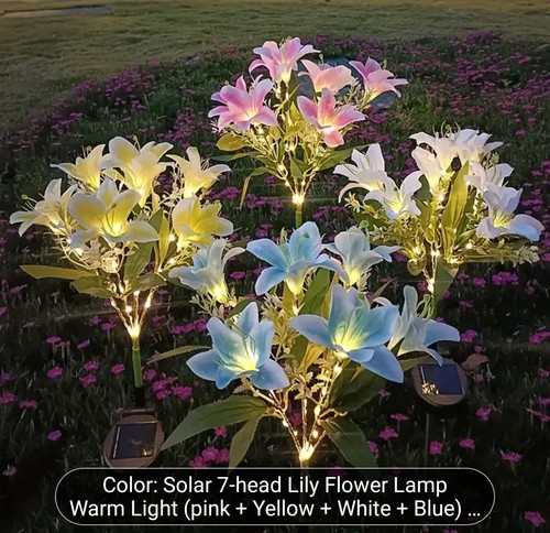 Packs colours lily solar - packs, 4