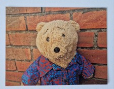 Horace the Alresford Bear
