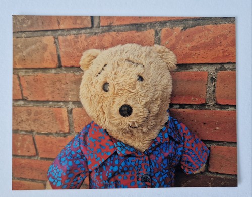 Horace the alresford bear - the,