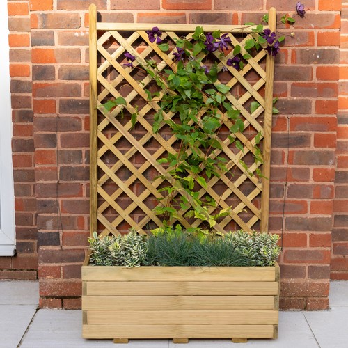 Trellis garden planter - garden, lattice