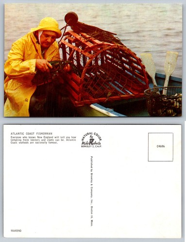 Atlantic coast fisherman - atlantic,