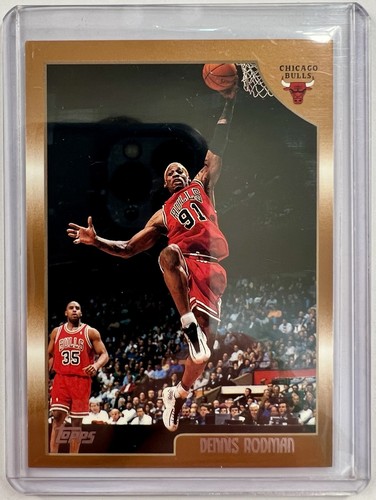 Dennis rodman chicago bulls - dennis,
