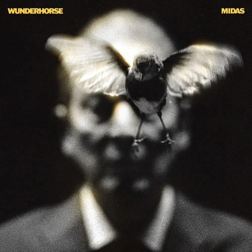 Wunderhorse midas - wunderhorse,
