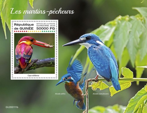 Kingfishers