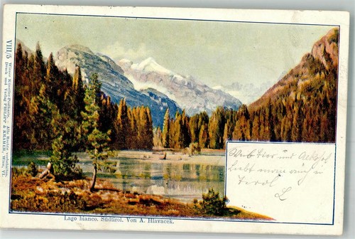 13982059 series viii signed - viii/5,