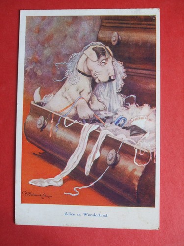 1924 studdy dogs - 1924,