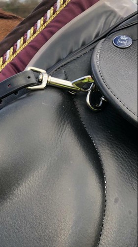 Breast plate clips - clips, (pair)