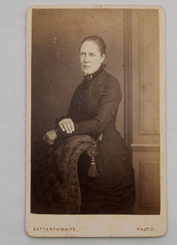 Cdv victorian lady beside - cdv,