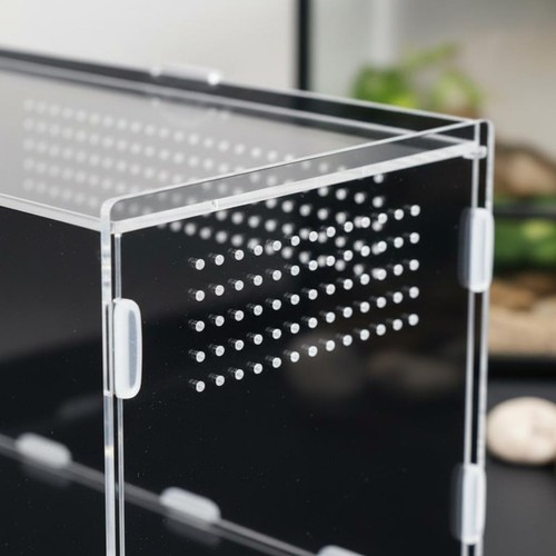 Acrylic amphibian box high - amphibian,