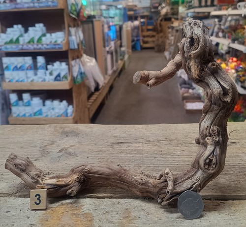Small grapevine wine wood - wine,