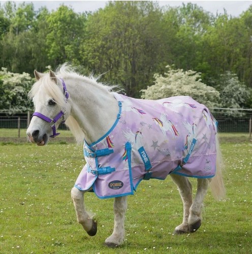 Gallop ponie pegacorn - gallop,