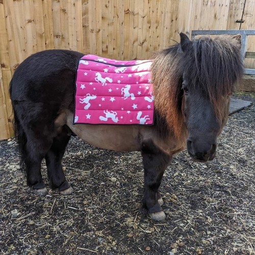 Navy blue pink unicorn - blue,