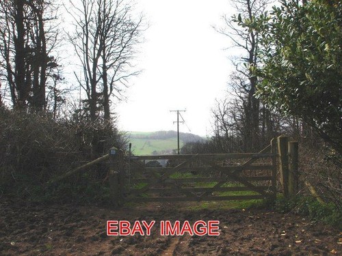 Photo field gate - photo,