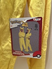Disguise Pokémon Pikachu