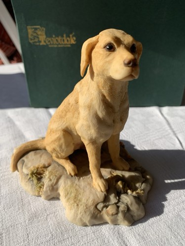 Yellow labrador - yellow, (sitting)