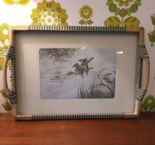Vintage flying duck glass - flying,