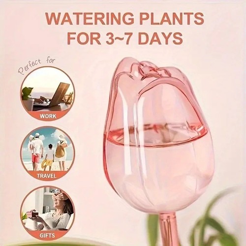 4pcs pink tulip - plant, watering