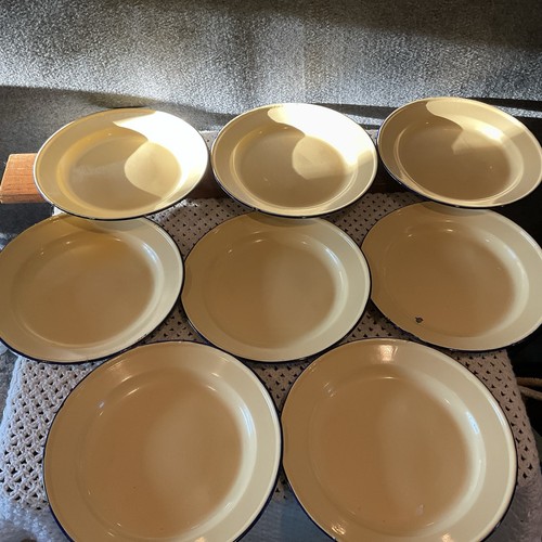 Pottery barn partyware - barn, dinner