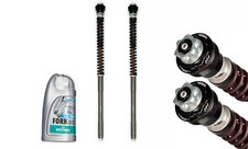 MATRIS F20K "QUAD VALVE" FORK