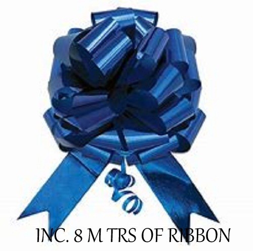Royal blue wedding - royal, car