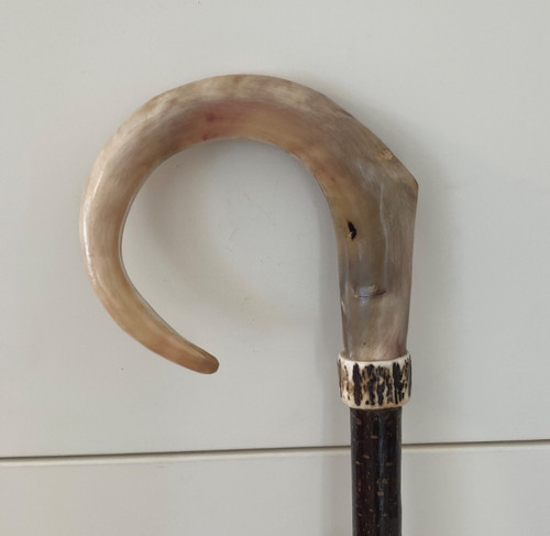 Tall rams horn crook on - rams,
