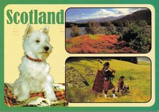 Greetings From Scotland 