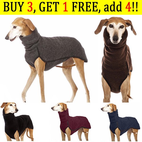 Dog pet high - high, jumper