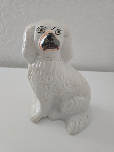 Staffordshire single spaniel - single,