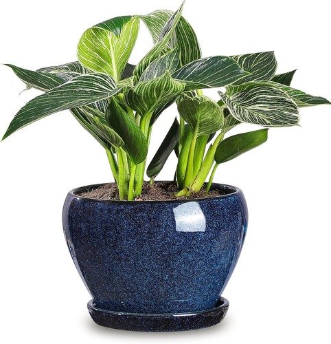 Ceramic plant pot with - pot,