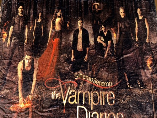 Vampire diary theme thin - diary,