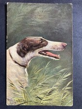 Portrait of a Lurcher Vintage Dog Postcard P65