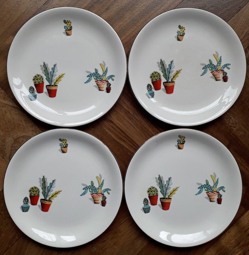 Four cactus side - side, plates