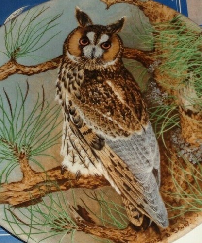 Coalport collectors plate - coalport,