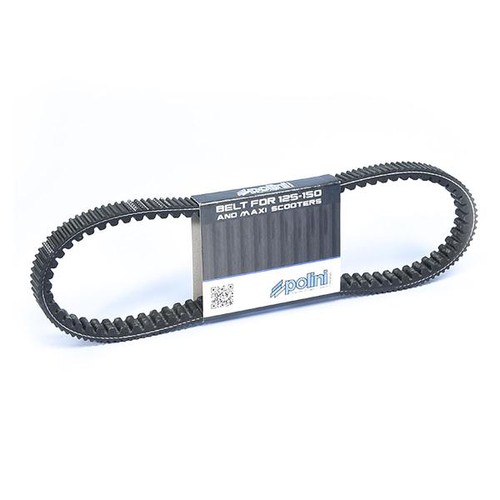 Polini cinghia variatore honda - variatore,