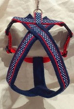 Luxurious Navy & White Polka
