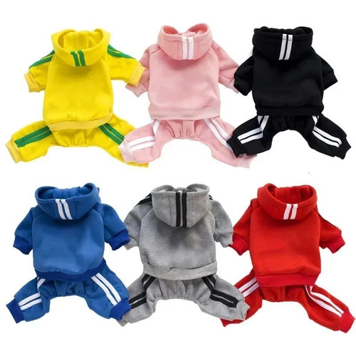 Leg pet dog clothes cat - pet,