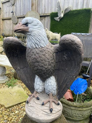 Nice size eagle latex and - size,