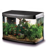 Love Fish 40L Panorama