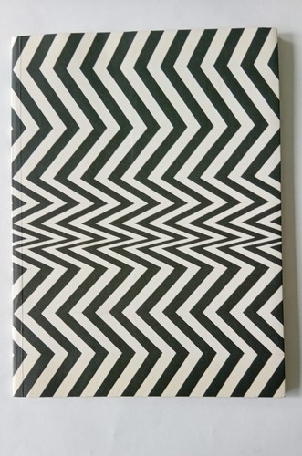 Bridget riley journey - riley,