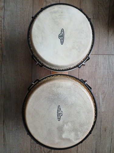 Large bongos natural - cp,