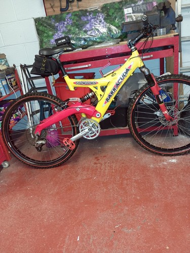 Mountain bike full - bike, suspension