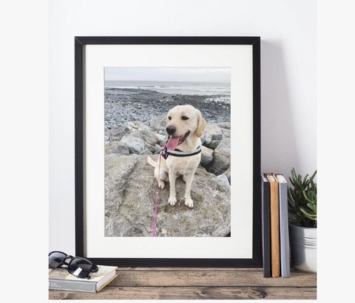 Print your photo - we,