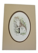 Tony Forrest : Stoat : Wild