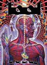 Tool  Music Concert Souvenir