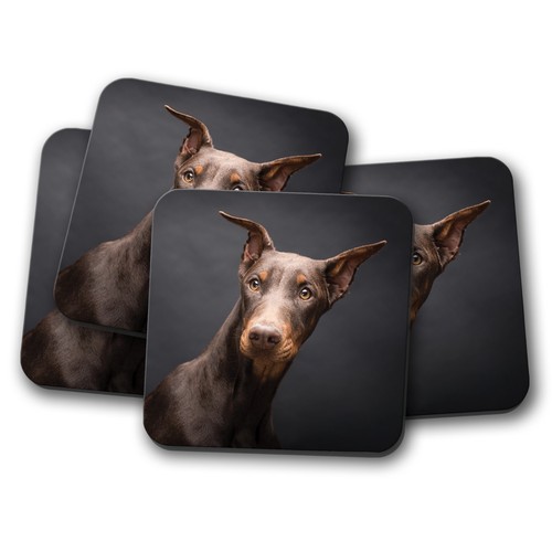 Set doberman pinscher - doberman,