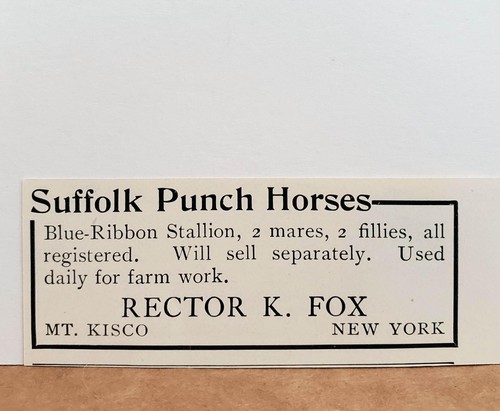 1909 suffolk punch horses - 1909,