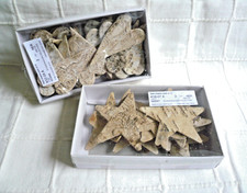 32 Pieces Large Birch Bark