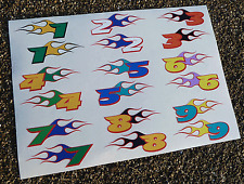 10th scale RC FLAMING RACE