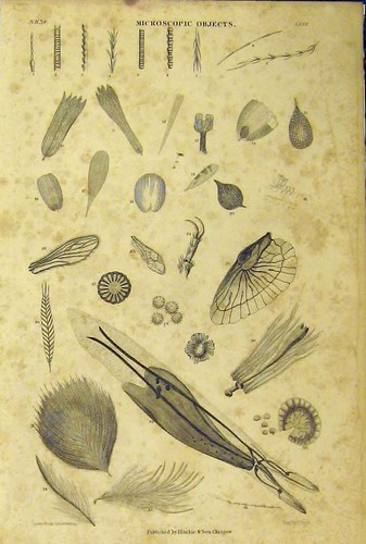 Original old antique print - original,