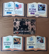 5 x PUMP CLIPS - ICENI